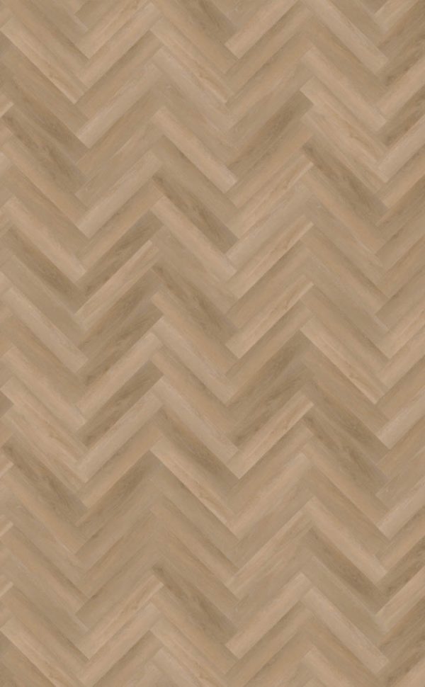 Attico Visgraat XL 81-belakos-