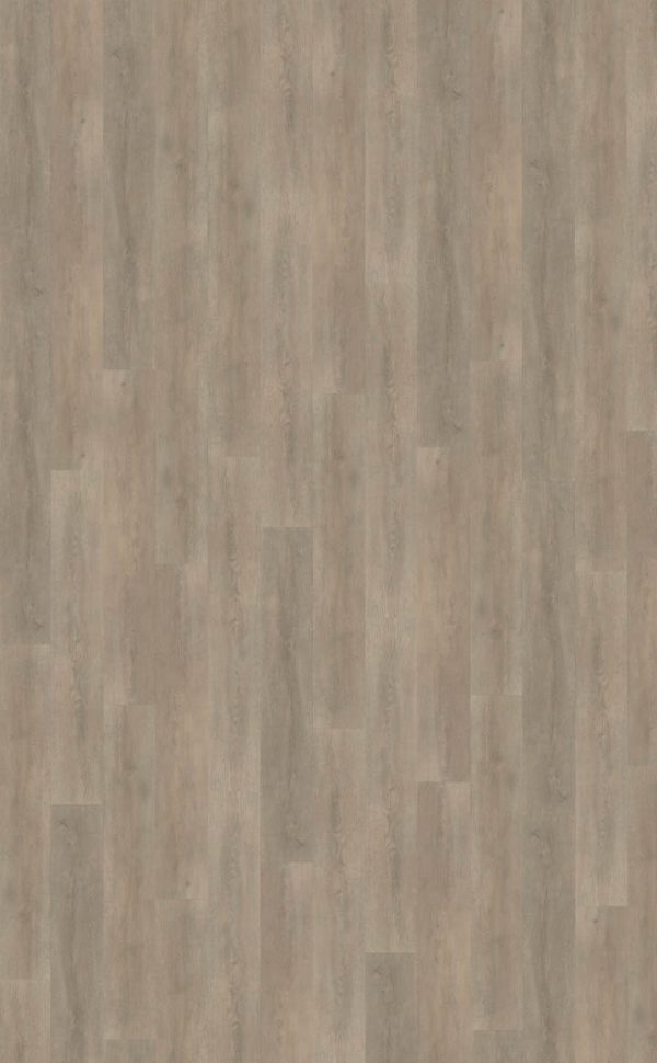 Palazzo Plank 700-belakos